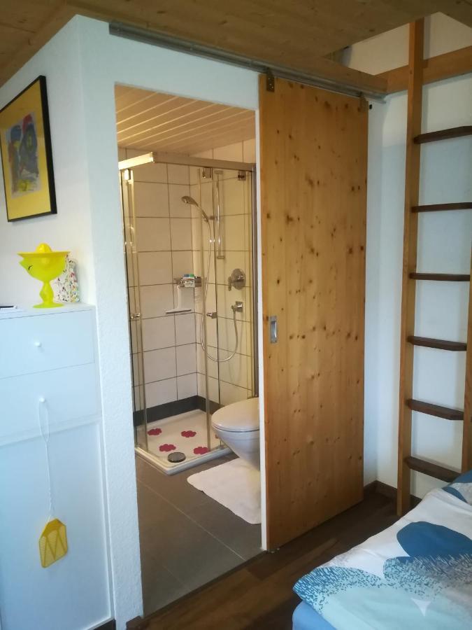 Montanara Appartement Meiringen Buitenkant foto
