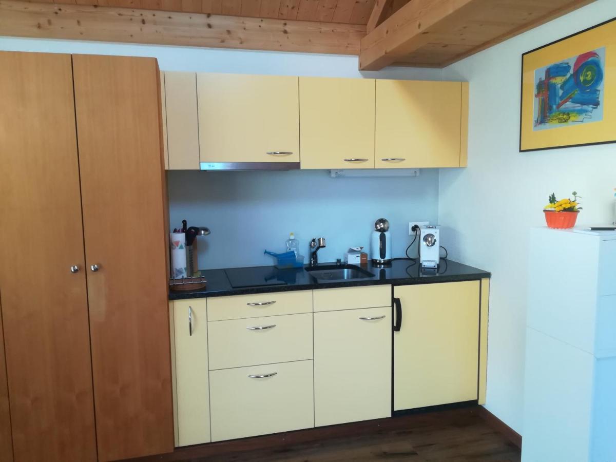 Montanara Appartement Meiringen Buitenkant foto